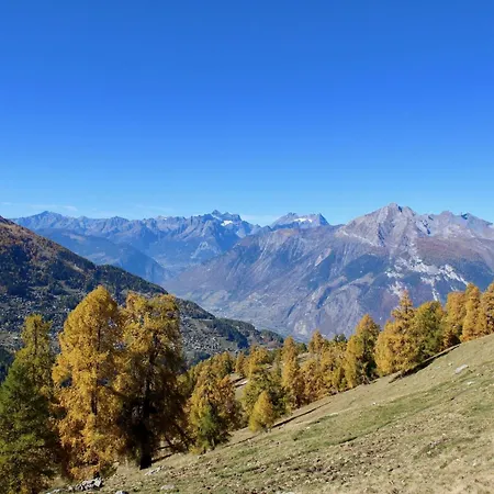 In Near Lift Apartamento