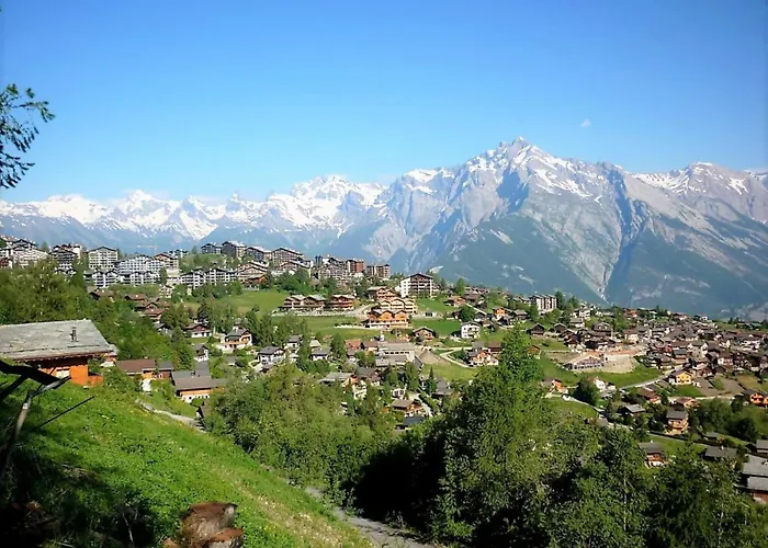 Appartement In Near Lift Nendaz